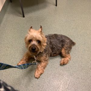 Meet your Posher, Tara